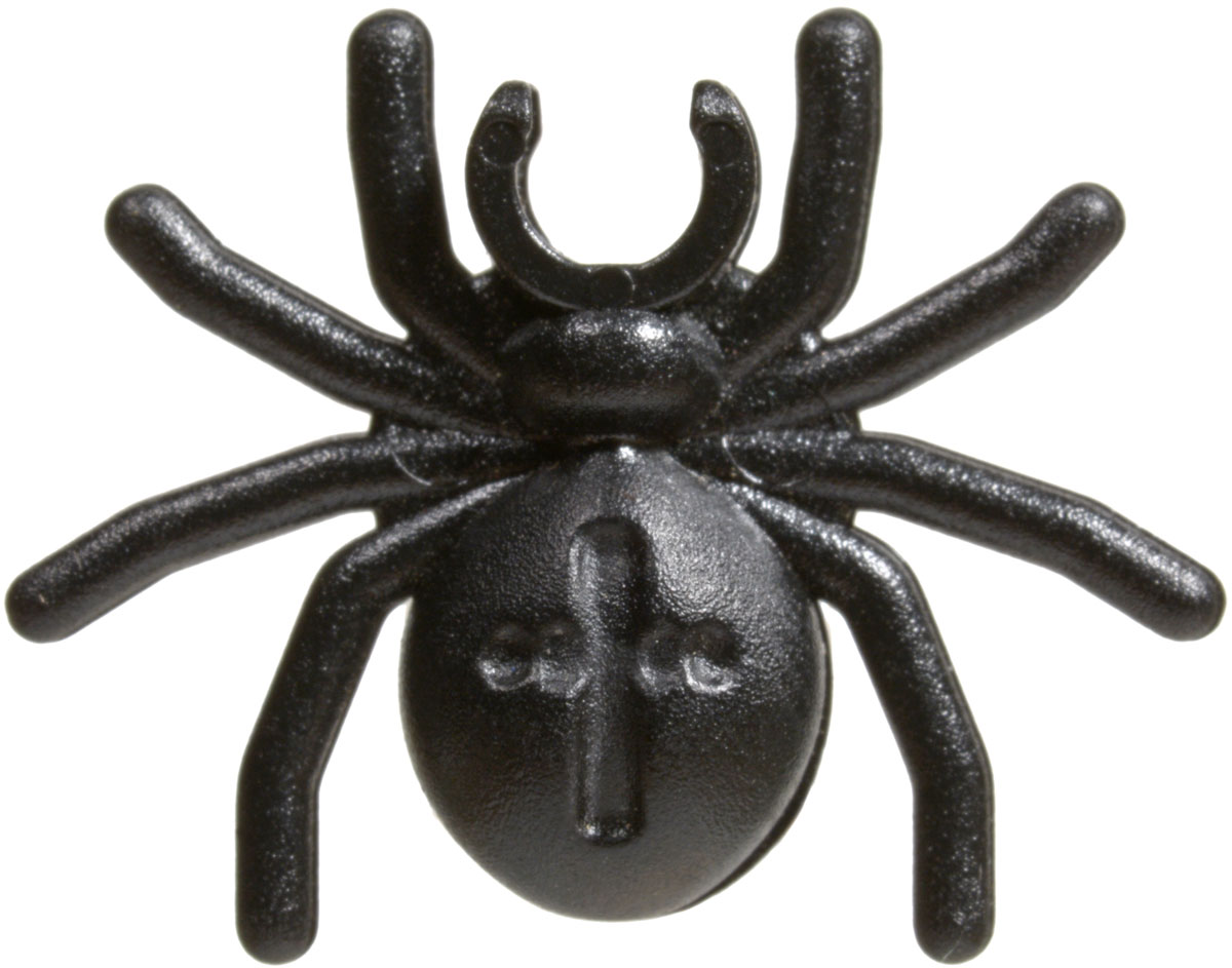 black spider